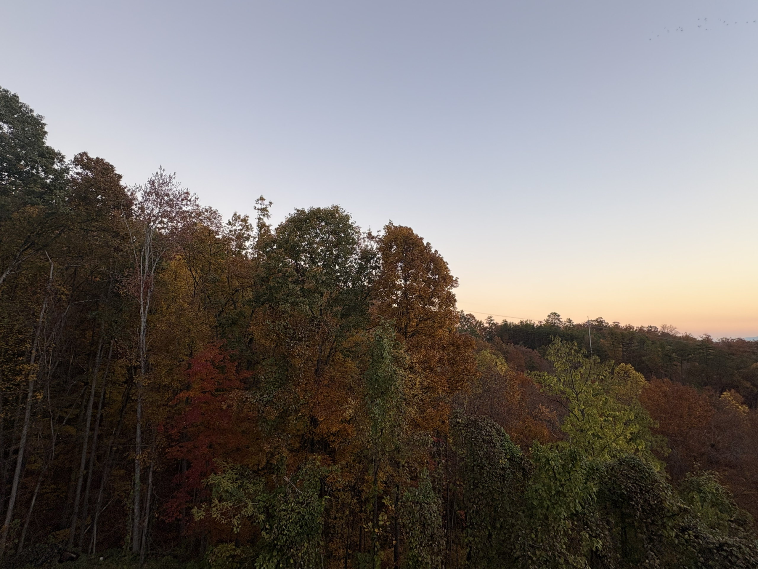 Fall Foliage at Smoky Ridge Getaways