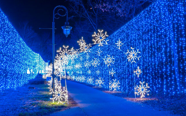 Wonders of Light Christmas Village