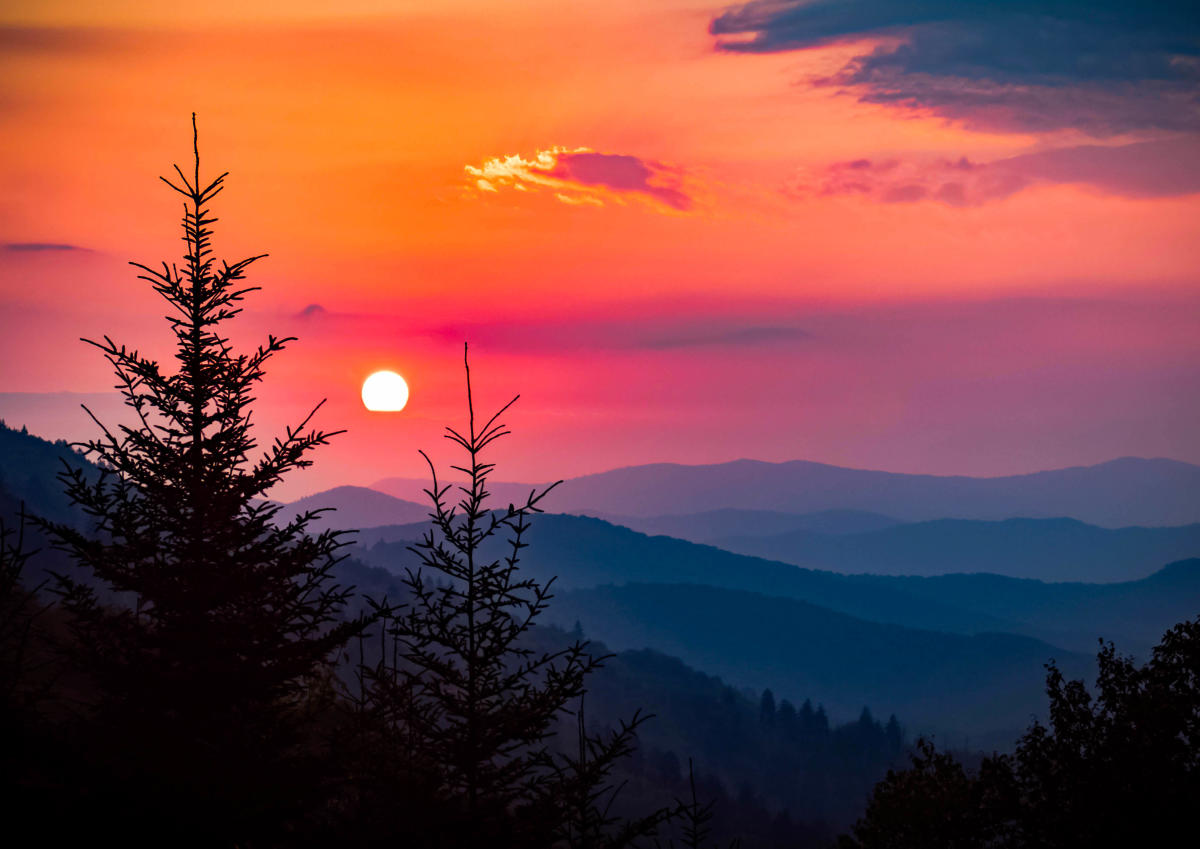 Valentine's Day in the Smoky Mountains